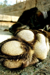 20180520124253-2daff083