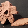 Detalle textura (9)