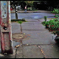Paseo Villa Frei