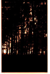 Foto exp (1)