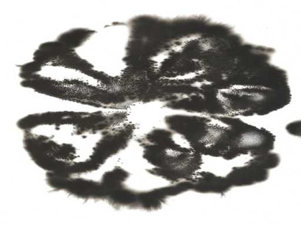 Procesos Kirlian Arte (27)