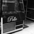 Pollo