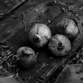 DSC 0015