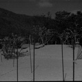playa1